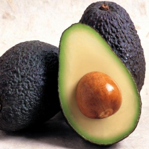 Comercializadora Cruce&ntilde;o Anuncios gratis en Providencia |  Palta hass de la mejor calidad del mercado, Distribucion directa a tu local