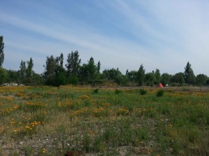 Lisa labra Anuncios gratis en  parcela de grado &eacute;xito en ventas, parcela