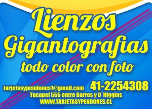 Alejandro Molina Anuncios gratis en Concepci&oacute;n |  Lienzos gigantografias todo color con foto, en concepci&Oacute;n, Tarjetas y pendones