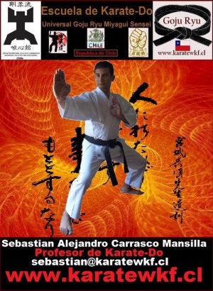 sebastian alejandro carrasco mansilla Anuncios gratis en Antofagasta |  Clases de karate do escuela yuishinkan antofagasta, Clases de karate