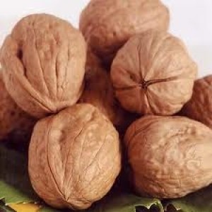 Jose pe&ntilde;ailillo Anuncios gratis en Melipilla |  Nuez serr c/cascara.cosecha 2013 a $1.900 el kg., 