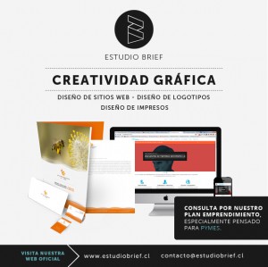 Aleph Celis Anuncios gratis en Valdivia |  1� estudio brief - somos p&Aacute;ginas web y dise&Ntilde;o gr&Aacute;fico en valdivia, Creamos sitios web