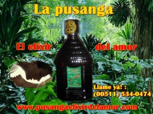 BRUJO BLANCO ROMPE LA MAGIA OSCURA Anuncios gratis en Antofagasta |  -pusanga selvatica peruana posee alta magia blanca, Pusanga