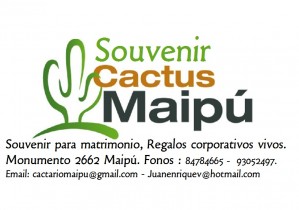 Juan Enrique V Anuncios gratis en Maip&uacute; |  Alegres recuerdos de matrimonio, regalos corporativos, souvenir, Cactus, matrimonio, recuerdos, regalos corporativos