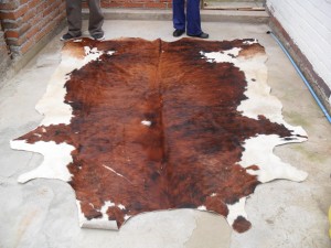 liset cofre Anuncios gratis en Villa Alemana |  Vendo alfombra curtida de cuero de vaca , Excelente estado y amplia