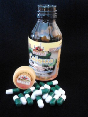  marcelo Anuncios gratis en Concepci&oacute;n |  Caigua en tabletas para bajar de peso en forma natural, Vendo caigua