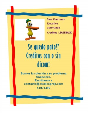 Sara Contreras Anuncios gratis en Rancagua |  Credito con o sin dicom! su oportunidad, Somos la unica alternativa seria en el mercado