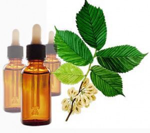 Oscar Armando Anuncios gratis en Los Angeles |  Flores de bach fuente inagotable de salud test on line , En los angeles terapia floral problemas emocionales, fisicos, mentales