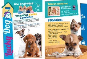 Mindy Schmidt Anuncios gratis en Las Condes |  Lucky dog peluqueria canina a domicilio , Chicureo, vitacura, las condes