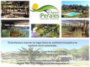 marcelo  Anuncios gratis en Rapel de Navidad |  Agrocamping 