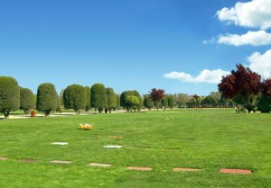 giovanna Anuncios gratis en Maip&uacute; |  Vendo sepultura parque el sendero de maipu, Sepultura con papeles al d&iacute;a