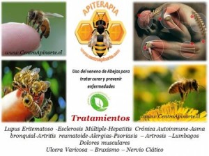 Luc&iacute;a ysabel Anuncios gratis en Maip&uacute; |  Apiterapia maravilloso poder de curaci&oacute;n contra todas las enfermedades, Milenaria natural y eficaz