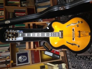 Diego Far&iacute;as  Anuncios gratis en Providencia |  Vendo guitarra ibanez modelo pat metheny nueva, Guitarra ibanez pat metheny nueva 