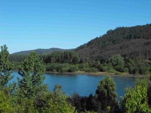 Alexis Palma Anuncios gratis en Valdivia |  Vendo hermosas parcelas en valdivia a orillas del r&iacute;o calle-calle, Un hermoso lugar para disfrutar de la naturaleza junto a la naturaleza