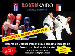 Manuel Mar&iacute;n Anuncios gratis en Providencia |  Curso de defensa personal para ni&ntilde;os, j&oacute;venes y adultos, Defensa personal