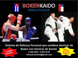 Manuel Mar&iacute;n Anuncios gratis en Providencia |  Defensa personal con t&eacute;cnicas de boxeo y karate para ni&ntilde;os, j&oacute;venes y , Defensa personal boxeo y karate para ni&ntilde;os, j&oacute;venes y adultos .