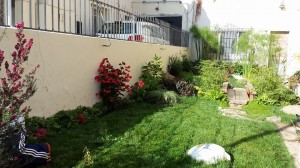 Osvaldo C&aacute;rdenas Anuncios gratis en Vi&ntilde;a del Mar |  Mantenciones de jardiner&iacute;a, fertilizaci&oacute;n, riegos tecnificados , Tecnificaciones, jardiner&iacute;a, decoraci&oacute;n y dise&ntilde;o 