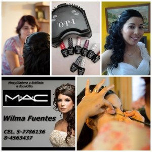Wilma Fuentes Studer Anuncios gratis en Santiago |  Peinados y maquillaje mac a domicilio novias, graduaciones, Manicure, pedicure, esmalte permanente opi a domicilio