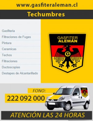 Gasf&iacute;ter Alemanes Anuncios gratis en Santiago |  Reparaci&oacute;n e instalaci&oacute;n de techumbre � gasfiteraleman.cl, Techumbres