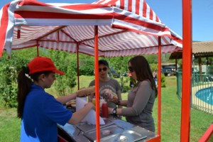 NI&Ntilde;OS POR SIEMPRE Anuncios gratis en Limache |  Carritos de completos, hamburguesas, palomitas y algodones a domicilio, Olmu&eacute;, quillota, calera, vi&ntilde;a