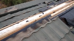 EMPRESASINTERCHILE Anuncios gratis en Cachagua |  Sellados de techos para pajaritos, palomas murcielagos garantizados..., Sellados de techos para que no entren pajaritos palomas murcielagos 