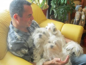 Javier Samith Bernal Anuncios gratis en Providencia |  Adiestramiento canino a domicilio por adiestrador con experiencia, Adiestrador, domicilio, perros, canino, entrenamiento, adiestramiento,