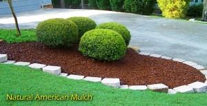 Fya Chile Servicios Integrales Ltda. Anuncios gratis en &Ntilde;u&ntilde;oa |  Mulch de colores fyachile servicios integrales lta., Mulch, astillas de madera