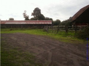 Cima Propiedades On Line Anuncios gratis en Los Angeles |  Excelente oportunidad, gran campo agr&Iacute;cola y productivo, Terrenos