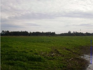 Cima Propiedades On Line Anuncios gratis en Los Angeles |  Muy buen campo productivo ganadero, oportunidad los angeles, Terrenos