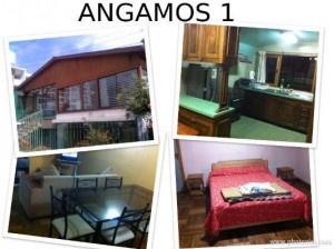 josefina melville Anuncios gratis en Vi&ntilde;a del Mar |  Casas equipadas para 13 y 8 personas en re&ntilde;aca 1 sector, Despedidas de solteros, cumplea&ntilde;os