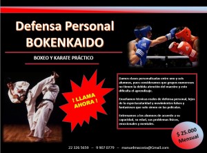 Manuel Mar&iacute;n Anuncios gratis en Providencia |  Curso de defensa personal con t&eacute;cnicas de boxeo y karate efectivo, Defensa personal boxeo y karate para ni&ntilde;os, j&oacute;venes y adultos .