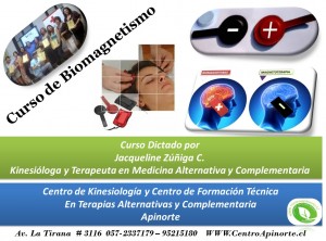 Centro Apinorte Anuncios gratis en Iquique |  Curso de biomagnetismo y magnetoterapia en iquique, Curso de biomagnetismo y magnetoterapia