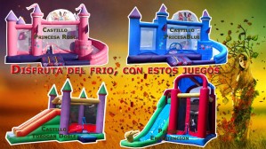 Maritza Espinoza Anuncios gratis en Santiago |  Arriendo de juegos inflables, tobogan, castillo, cama el&aacute;stica, Juegos inflables en santiago, metropolitana, acuaticos, toboganes