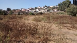 Cristian Gajardo Miralles Anuncios gratis en Vi&ntilde;a del Mar |  Terreno grande en vi&ntilde;a del mar para emprendimientos comerciales, 11.600 m2 camino internacional, mirador de re&ntilde;aca, $429.000.000
