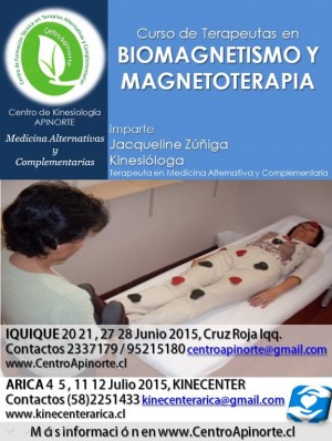 Centro Apinorte Anuncios gratis en Arica |  Biomagnetismo curso en arica y iquique teorico practico, Biomagnetismo clases cursos en arica y iquique