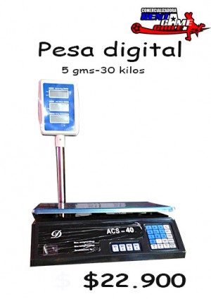 RENTAGAME CHILE Anuncios gratis en La Cisterna |  Pesa digital 5 grs. - 30 kilos precio oferta: $ 22.900, Rentagame: maquinas de juego:  accesorios,repuestos, servicio tecnico