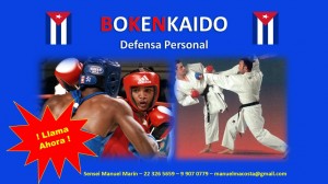 Manuel Mar&iacute;n Anuncios gratis en Providencia |  Curso de defensa personal con t&eacute;cnicas de boxeo y karate pr&aacute;ctico, Boxeo y karate pr&aacute;ctico defensa p&eacute;rsonal