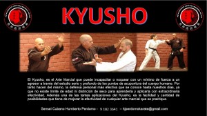 Humberto Perdomo Anuncios gratis en Providencia |  Kyusho defensa personal ni&ntilde;os j&oacute;venes y adultos, Defensa personal kyusho la mejor defensa