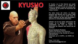 Humberto Perdomo Anuncios gratis en Lo Barnechea |  Kyusho defensa personal ni&ntilde;os j&oacute;venes y adultos revela sus secretos, Defensa personal kyusho la mejor defensa