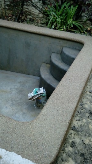 SARA ESCALONA VELIZ Anuncios gratis en Talca |  Piscinas  construccion,  mantenciones, venta de productos quimicos, Piscinas construccion, venta de cloros