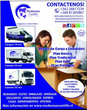 luis castillo Anuncios gratis en &Ntilde;u&ntilde;oa |  Camion para mudanza- traslados de pianos- fletes express, Mudanzas, fletes, traslados y embalajes