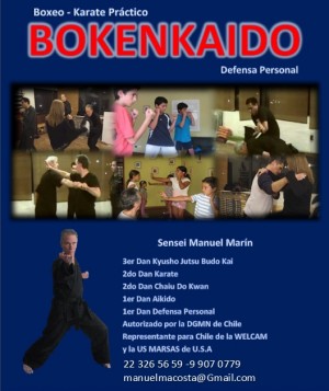 Manuel Mar&iacute;n Anuncios gratis en Providencia |  Curso mixto boxeo-karate pr&aacute;ctico, todas las edades, Curso mixto boxeo-karate pr&aacute;ctico, todas las edades 