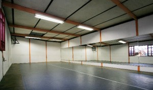 Danza Ebano Anuncios gratis en &Ntilde;u&ntilde;oa |  Salas de ensayo para danza, teatro, artes esc&eacute;nicas // danza ebano, Salas de ensayo, salas para baile, espacio de danza, teatro, danza