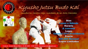 Manuel Mar&iacute;n Anuncios gratis en Providencia |  Kuysho el secreto de las artes marciales, Kyusho la mejor defensa personal