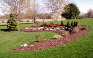 fya chile servicios integrales Anuncios gratis en Santiago |  Corteza de pino para decorar y proteger sus plantas y arboles., Taza de arbol, proteger, natural, bio degradable