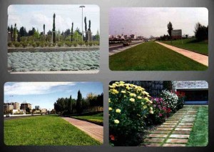 Ricardo D&aacute;vila Leyton Anuncios gratis en Las Condes |  Riego automatico subterr&Aacute;neo exudante, ahorro de agua      , Sistema de riego para agricultura y areas verdes, larga vida 