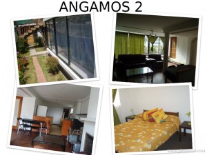 Violeta Anuncios gratis en Vi&ntilde;a del Mar |  Verano 2016 en re&ntilde;aca !! casas equipadas, Casas por d&iacute;a, noche, cercana a la playa, verano 2016