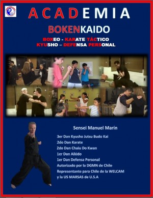 Manuel Mar&iacute;n Anuncios gratis en Providencia |  Curso de boxeo, karate t&aacute;ctico, kyusho y defensa pesonal, Boxeo, karate, defensa personal, kyusho para todas las edades