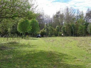 NATIVOS PUC&Otilde;N Anuncios gratis en Puc&oacute;n |  Gran oportunidad hermosa parcela en loncotraro de 2500 m2, Gran oportunidad hermosa parcela de 2500 m2 en loncotraro a minutos de