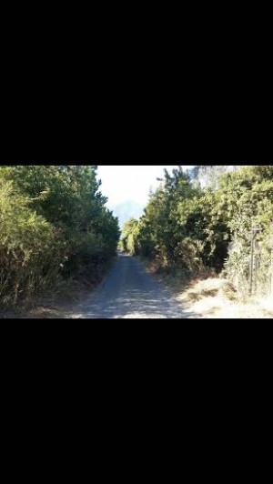 nativos puc&oacute;n Anuncios gratis en Puc&oacute;n |  Terreno de 2500 m2 en puc&oacute;n central, Gran oportunidad terreno en puc&oacute;n cerca del centro